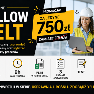 Lean Lider Six Sigma Yellow Belt