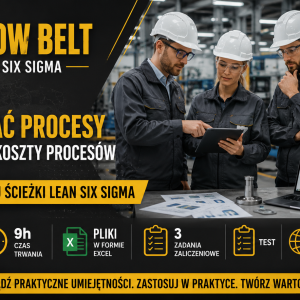 Lean Lider Six Sigma Yellow Belt
