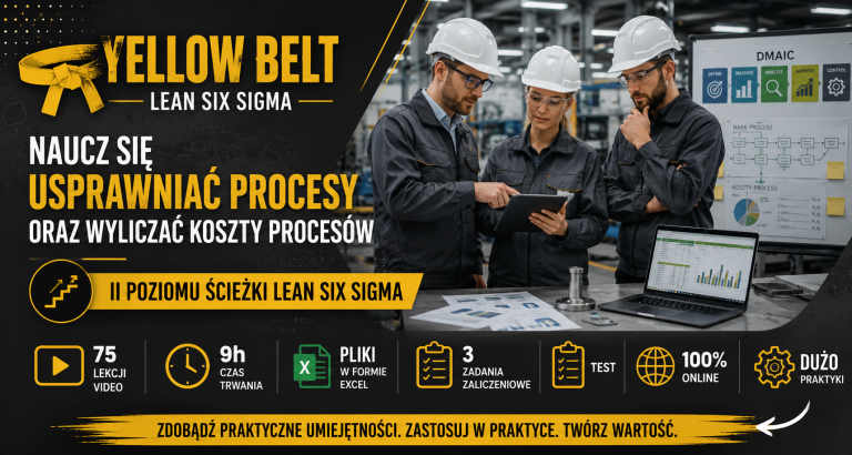 Lean Lider Six Sigma Yellow Belt