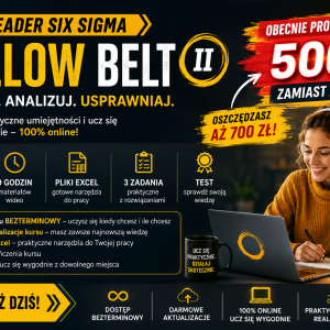 Lean Lider Six Sigma Yellow Belt